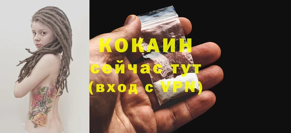 соль ск Кулебаки