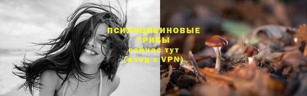 гидропоника Пенза