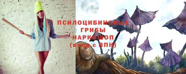 меф Ладушкин