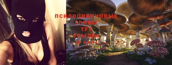 соль ск Кулебаки