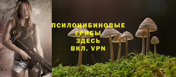 гидропоника Лагань