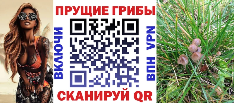 kraken tor  Тамбов  Галлюциногенные грибы MAGIC MUSHROOMS 