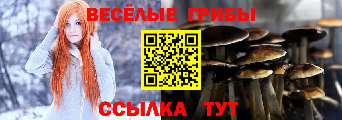 Галлюциногенные грибы Cubensis Тамбов
